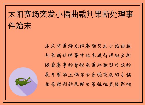 太阳赛场突发小插曲裁判果断处理事件始末